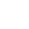 videoIcon