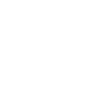 videoIcon